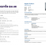 cách viết cv cho sinh viên