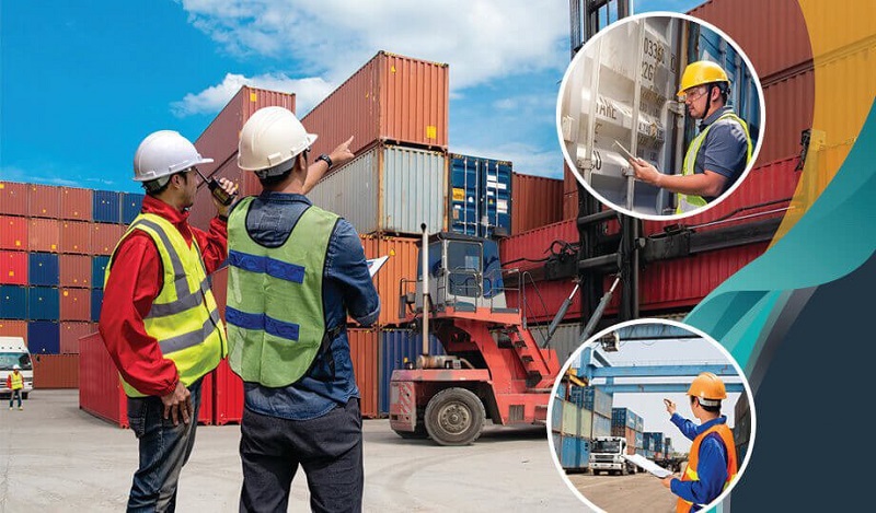 cv nhân viên xuất nhập khẩu